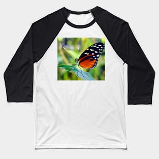 Macro Orange and Black Butterfly Baseball T-Shirt